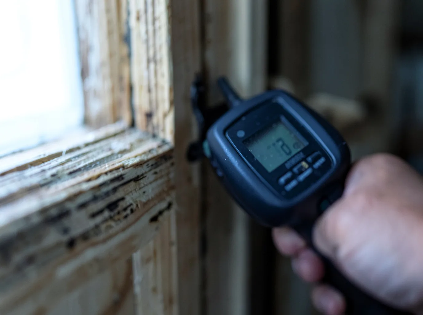 Moisture Inspection And Documentation in Casper, WY